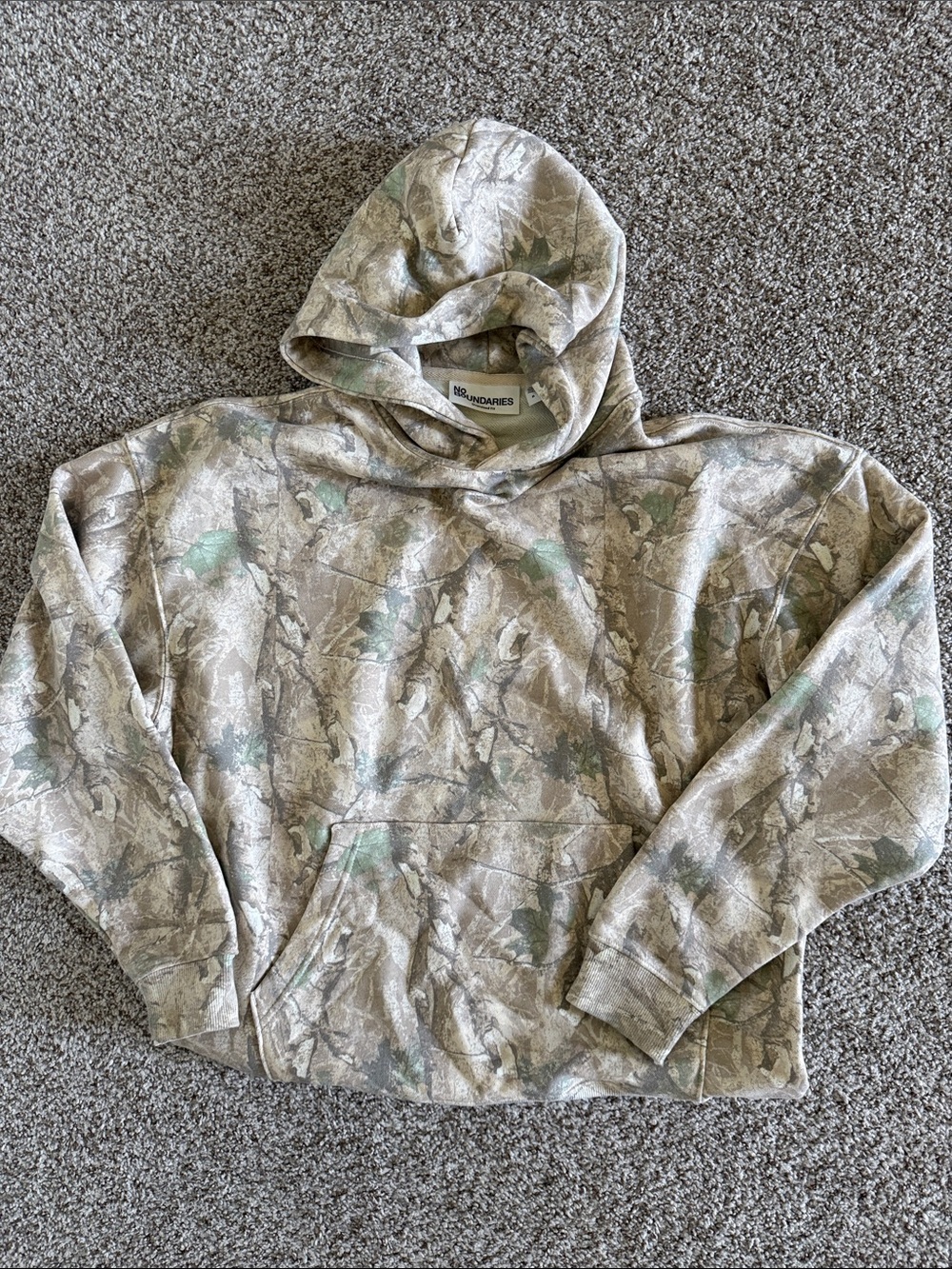 No Boundaries Oversized Camouflage Hoodie in Beige and Light Green